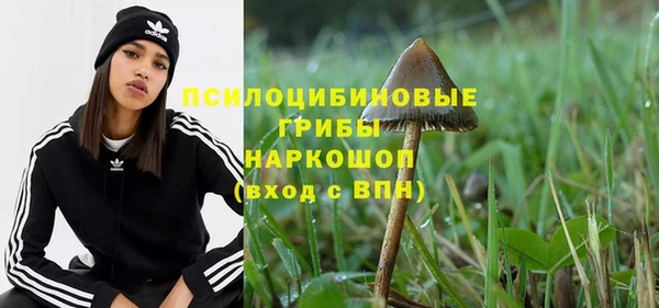 a pvp Верея