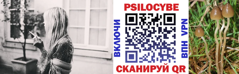 Галлюциногенные грибы ЛСД  darknet Telegram  Вичуга  где можно купить наркотик 